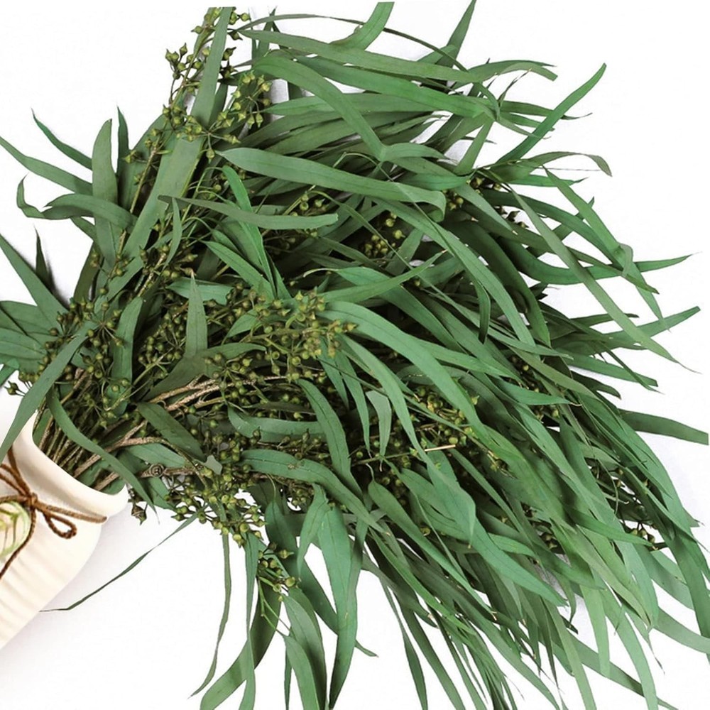 17'' Real Dried Seeded Eucalyptus Stems for Shower, Preserved Natural Eucalyptus