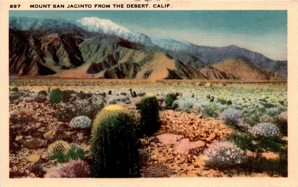 Mount San Jacinto, Desert, Robert Kashower, Los Angeles, California. Postcard