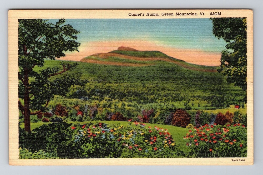 Green Mountains VT-Vermont, Camel's Hump, Vintage Postcard