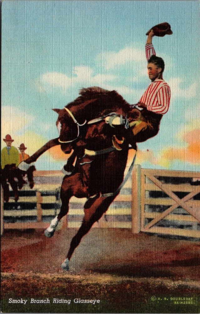 Smoky Branch Riding Glasseye Rodeo Cowboy Bucking Horse Postcard Curteich