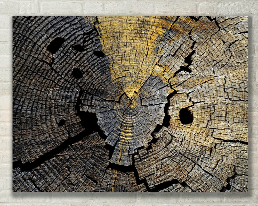 Abstract Tree Nature Art Print on Metal Canvas or Paper  -image