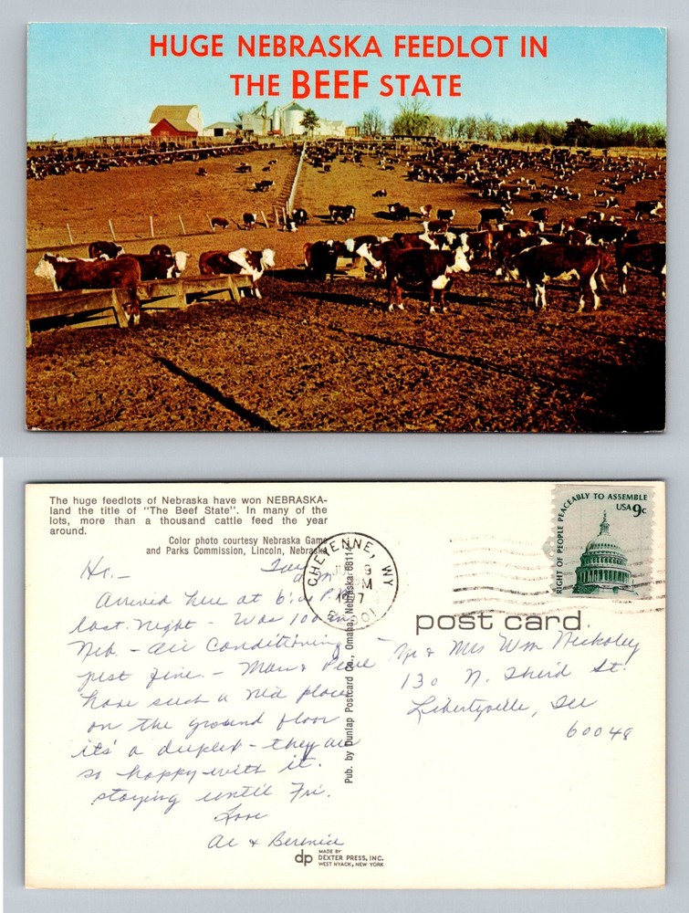 Lincoln, NE-Nebraska, Huge Cattle Feedlot In The Beef State Vintage Postcard