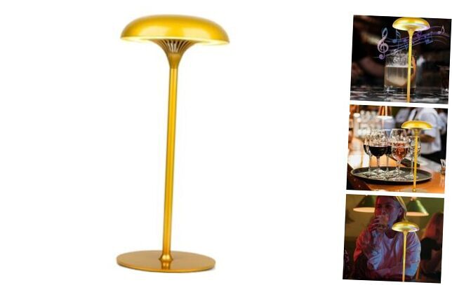 Rechargeable Table Lamp Cordless,with Bluetooth Speaker,Built in Champagne Gold