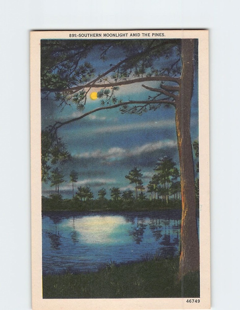 Postcard Southern Moonlight Amid The Pines