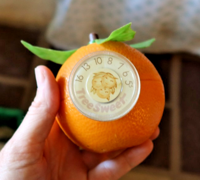 RARE Vintage Tree Sweet Orange Fruit AM Transistor Radio Jaffa Novelty Ball LOOK