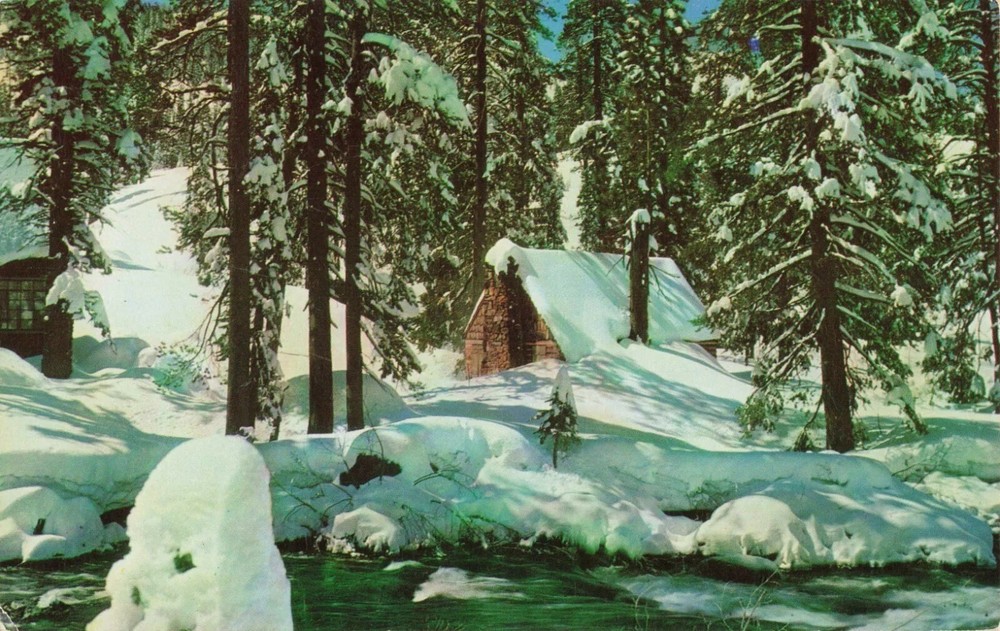 Winter's Soft Solitude - Snow Covered Cabin in Remote Woods - Postcard