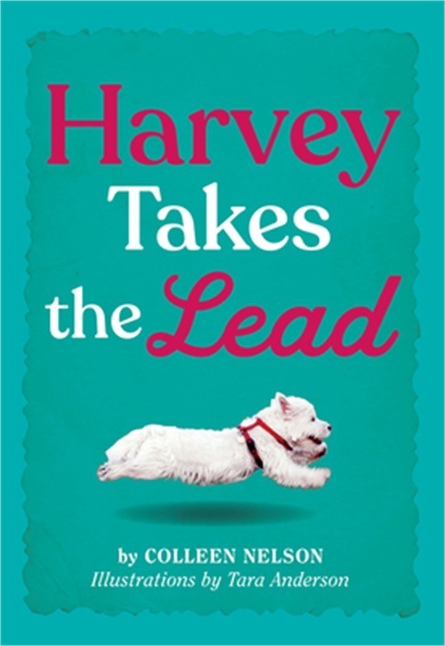 Harvey Takes the Lead (Hardback or Cased Book)