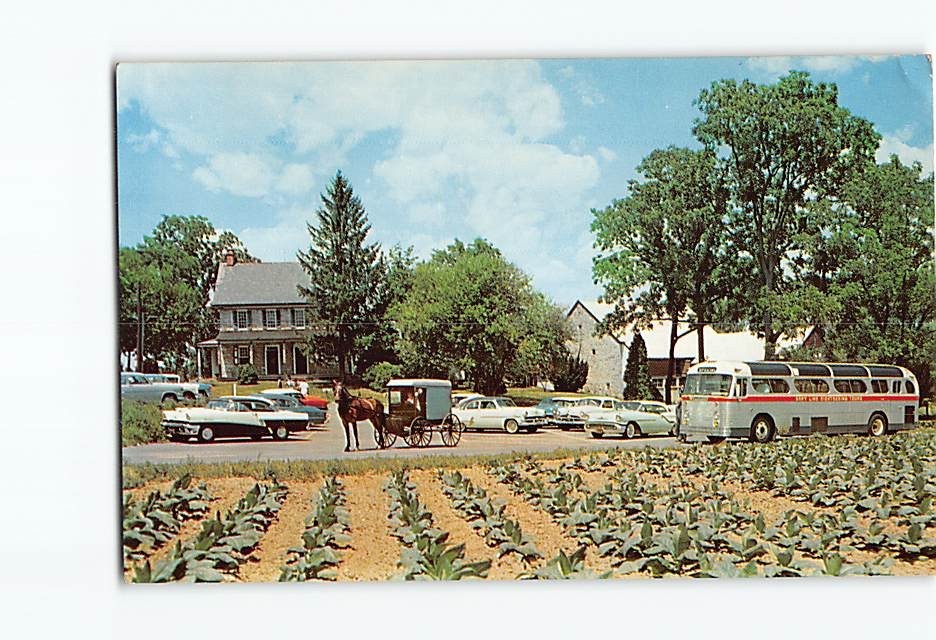 Postcard The Amish Farm and House East of Lancaster Pennsylvania USA