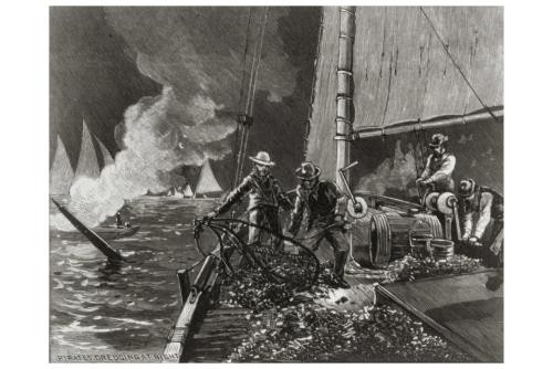 Oyster War,Chesapeake Bay,Pirates Dredging at Night,Fishing,Julia Hamilton,1884