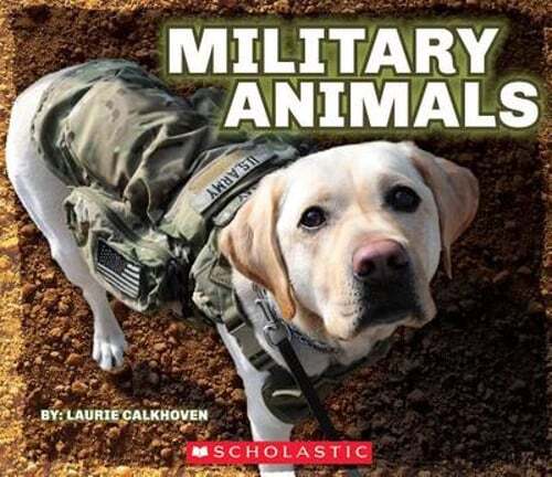 Military Animals Dog Tags Book by Laurie Calkhoven Preowned $26