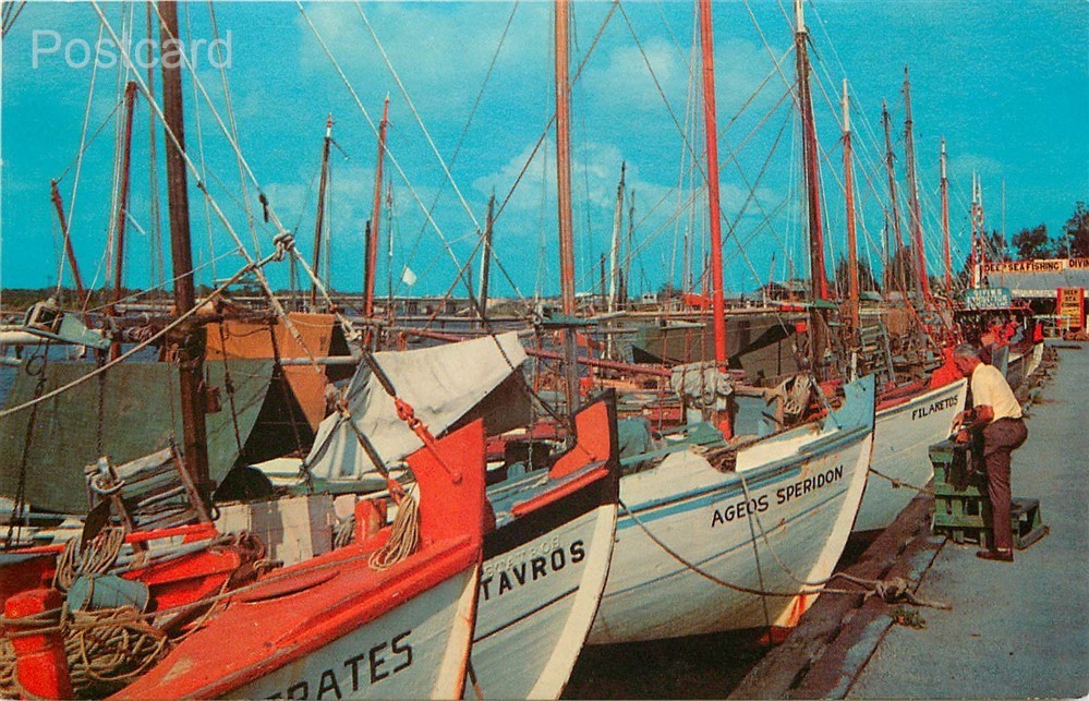 FL, Tarpon Springs, Florida, Sponge Fleet, Docks, Tichnor No. K-3539