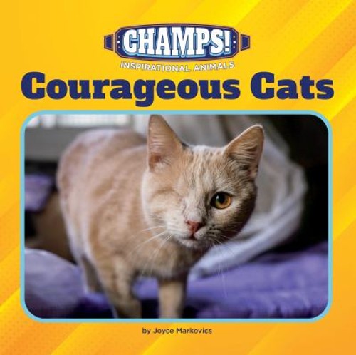 Courageous Cats Paperback Joyce MarkovicsFree US Delivery | ISBN:1668948249