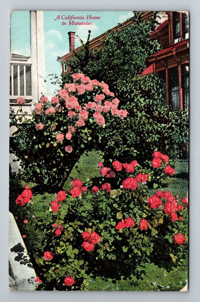 CA-California, A Home in Midwinter, Garden, Vintage Postcard