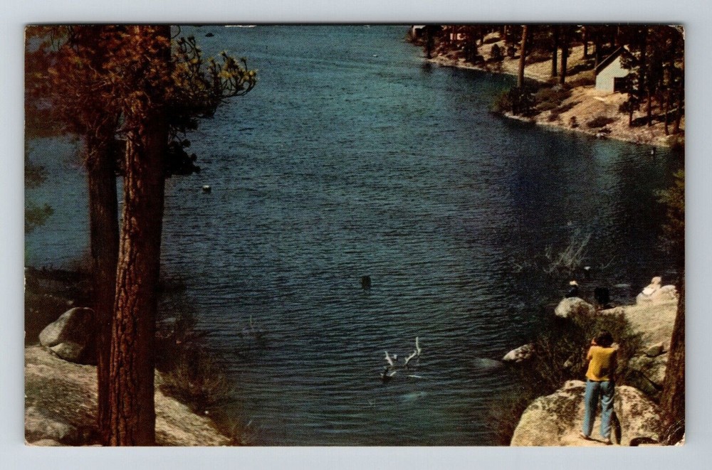 San Bernardino CA-California Aerial Scenic View Big Bear Lake Vintage Postcard