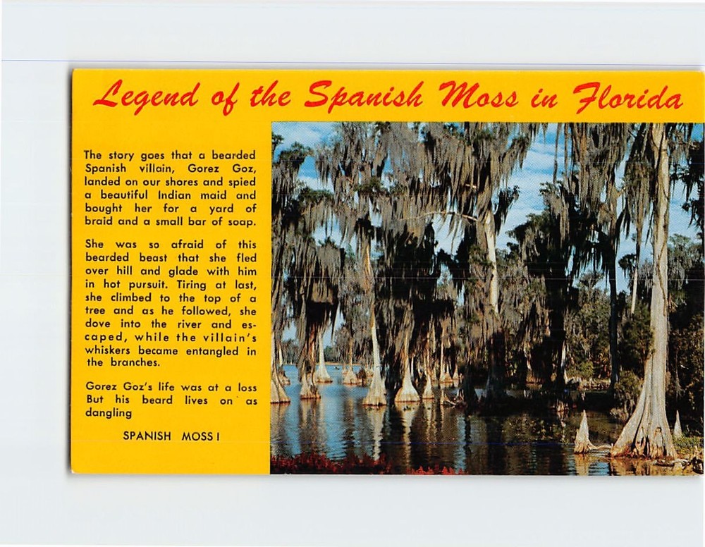 Postcard Legend of the Spanish Moss in Florida USA
