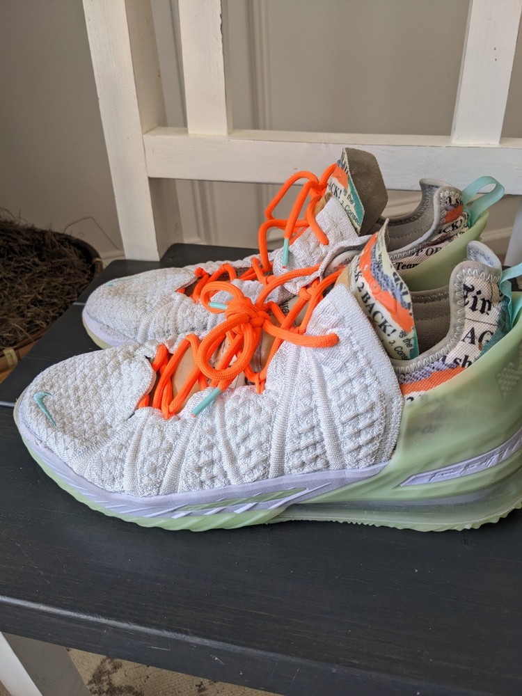 NIKE LEBRON 18 x DIANA TAURASI size 9.5 SHOES GOAT VISION CQ9283-401 GHOST GRAY