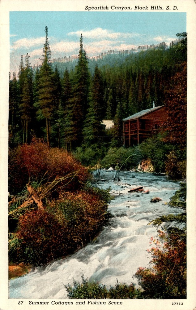 Spearfish Canyon, Black Hills, Summer Cottages, Fishing Scene, Lead, S. Postcard