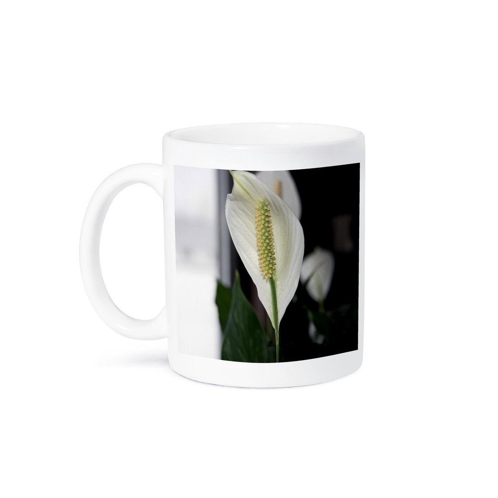 3dRose Blooming Peace Lily White Mug for Coffee or Tea