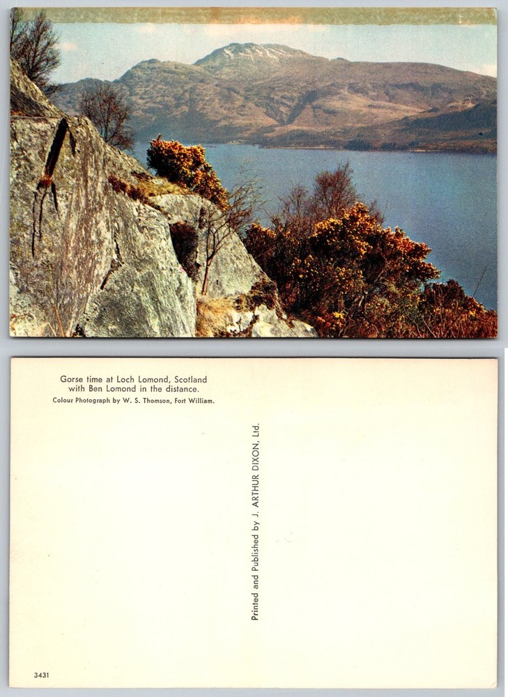 Vintage Loch Lomond Scotland Gorse Ben Lomond W.S. Thomson Postcard