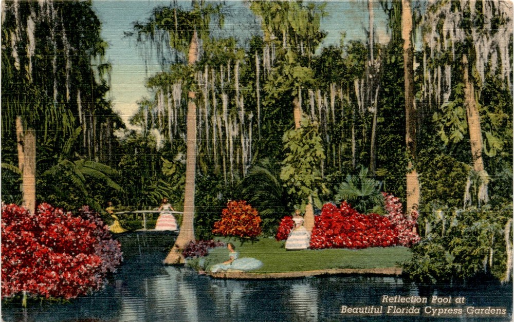 Florida, Cypress Gardens, Curteich-Chicago, Reflection Pool, Postcard