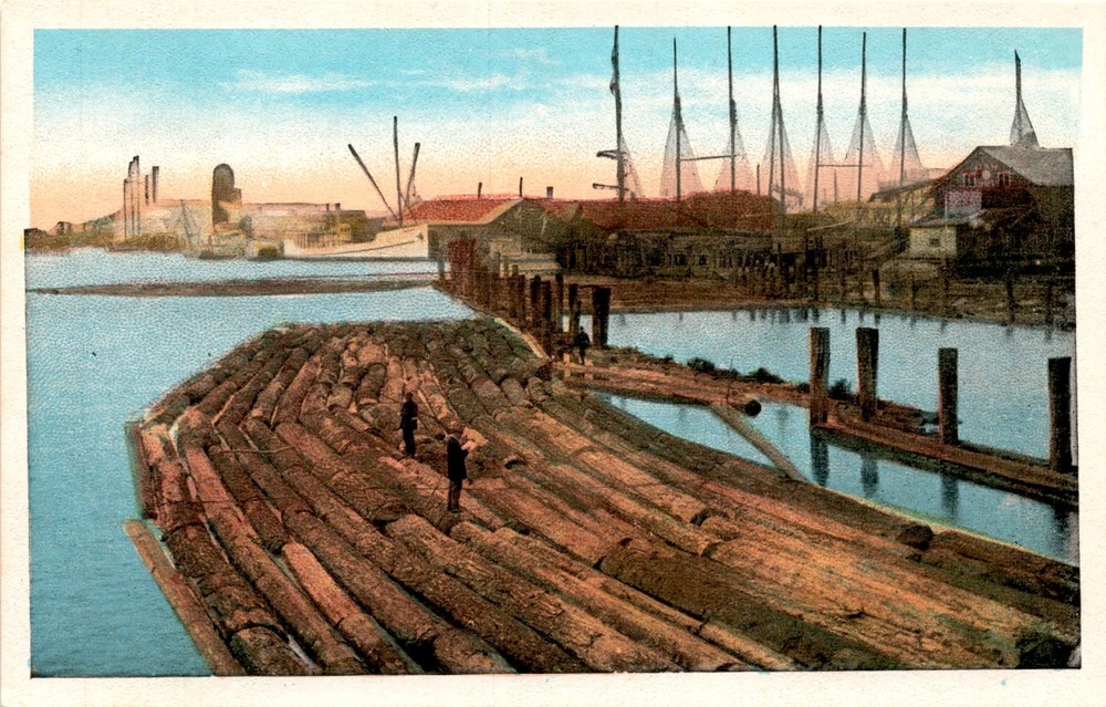 CA, Pacific Novelty Co., San Francisco, Los Angeles, Address, Stamp Postcard