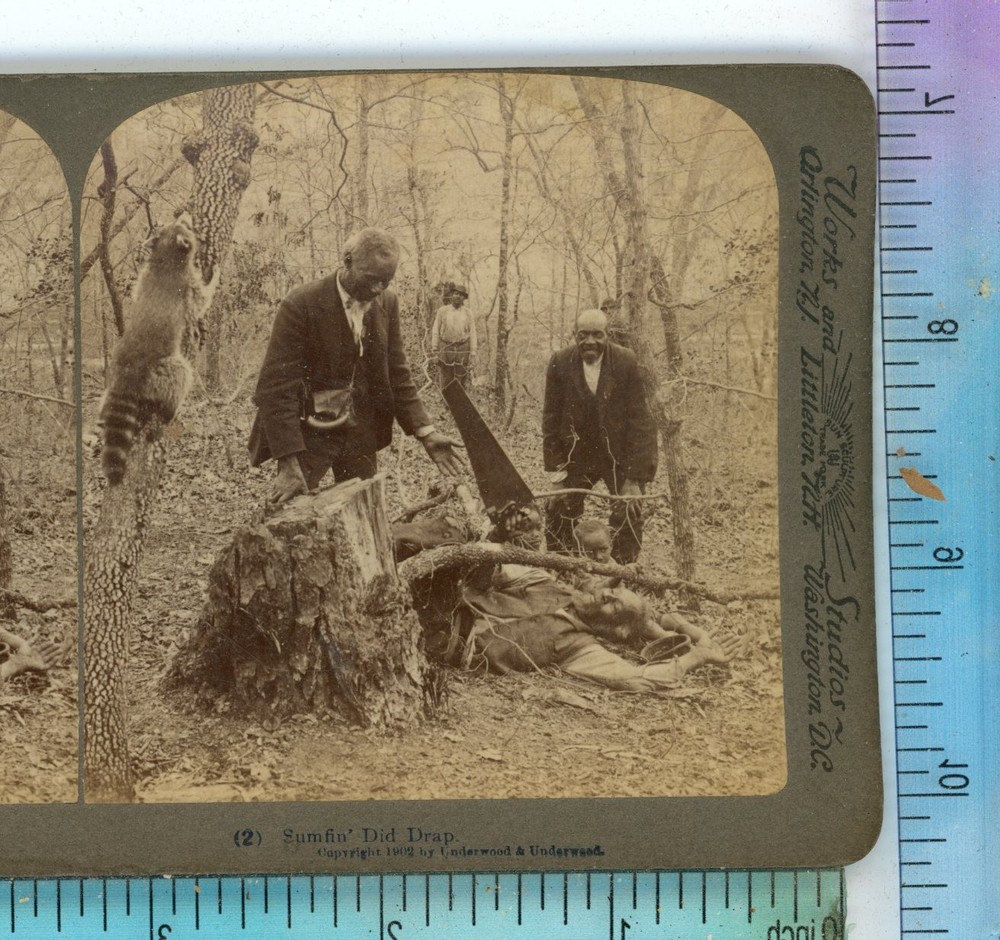 African American Men in Forest Hunting Raccoon Underwood Stereoview