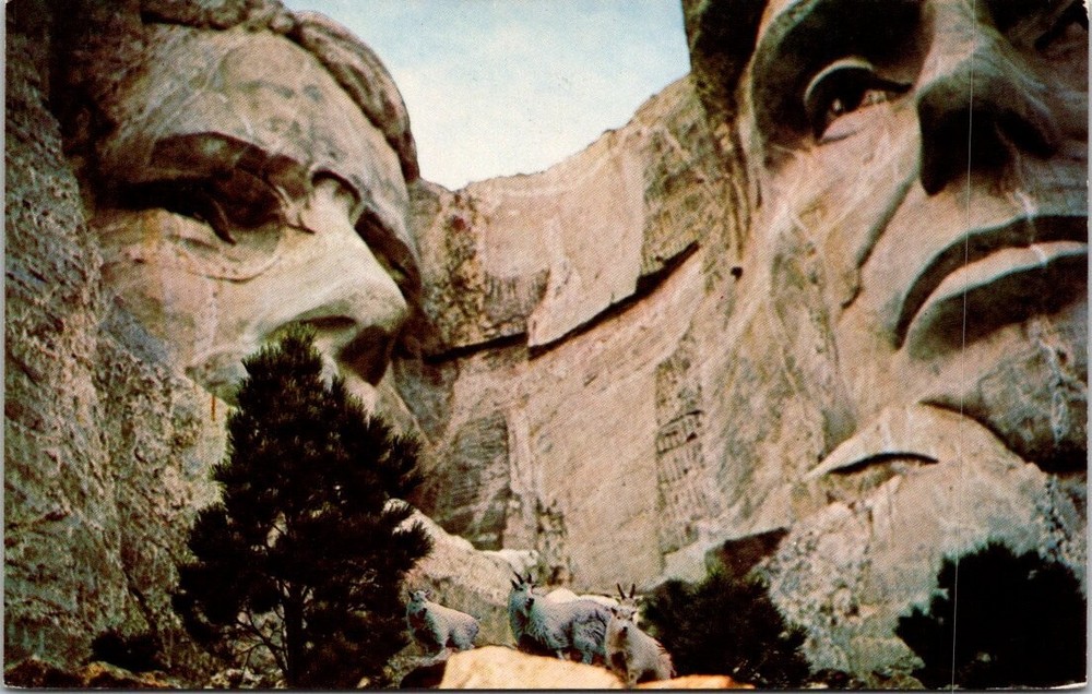 1950s Close View of Roosevelt Lincoln Mt Rushmore South Dakota Vintage Postcard