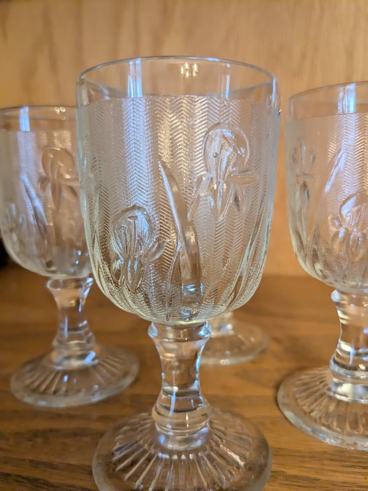 Vintage Iris Etched Set of 4 Cordial Frosted Glass Glossy Finish
