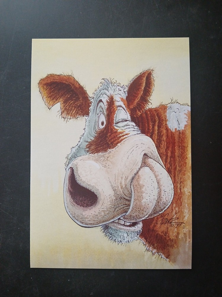 Funny Birthday Card