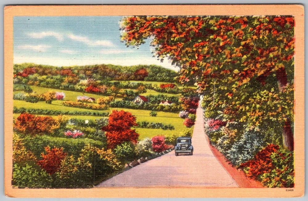 Vtg Linen Postcard Country Road Automobile 1930s