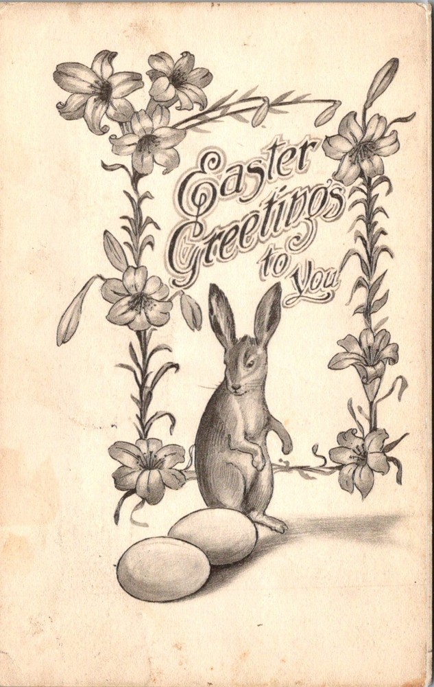 Dr Jim Stamps Postcard Easter Greetings To You Bunny Eggs Illustrated C1913