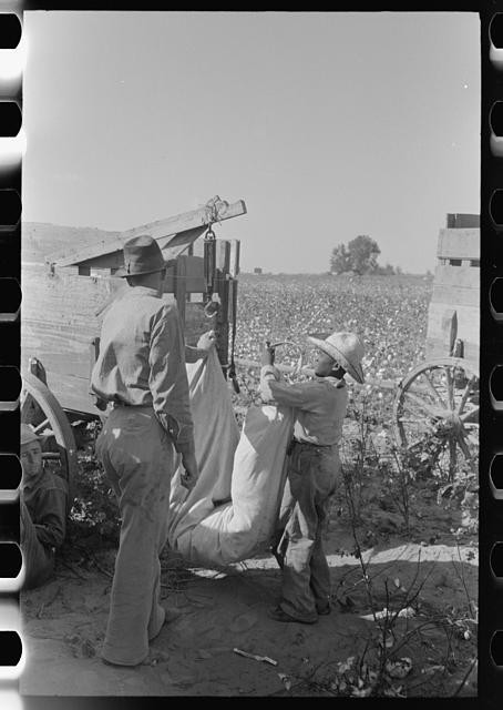 Lake Dick Arkansas 1938 Weighing Cotton Farm Security Administration FSA