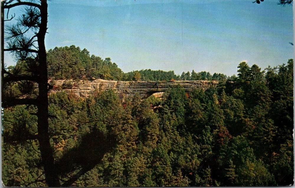 Natural Bridge State Park SLADE KENTUCKY Vintage Chrome Postcard A92