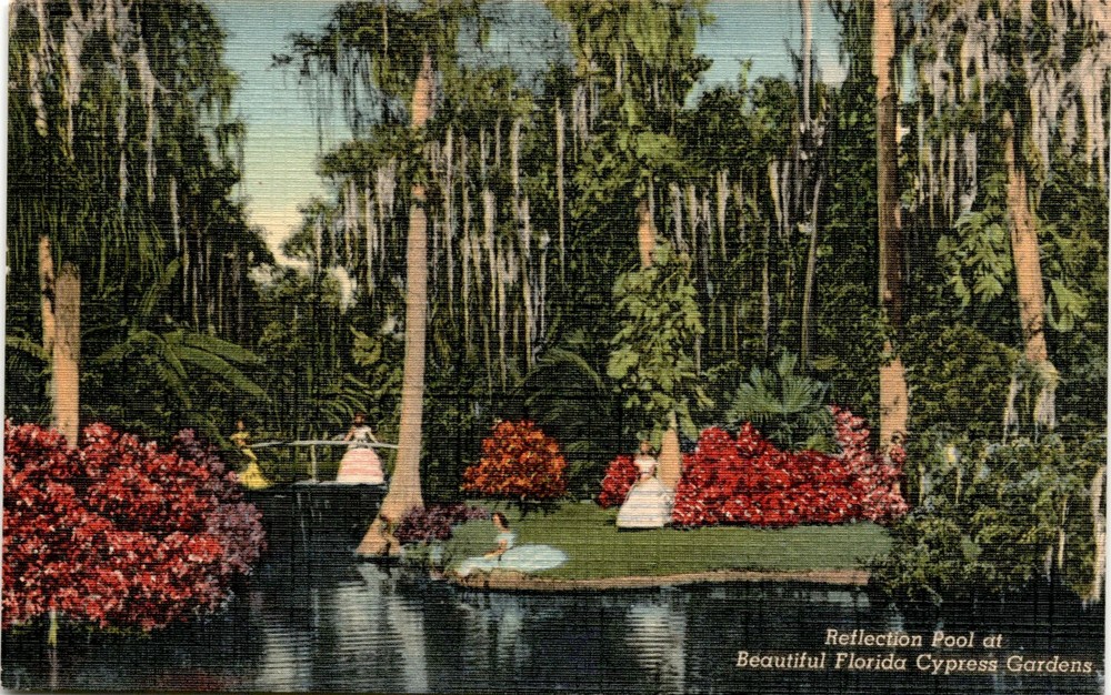 Florida, Cypress Gardens, Curteich-Chicago, Art-Colortone, Reflection Postcard