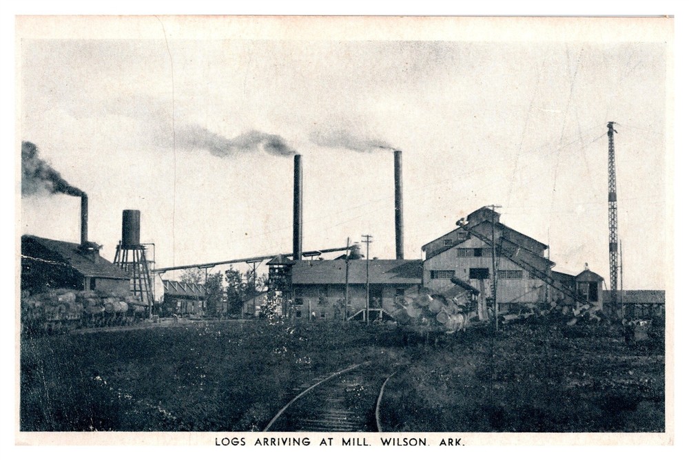 Logs Arriving By Train At Mill Wilson Arkansas C1910s Photo Tone Postcard AE19