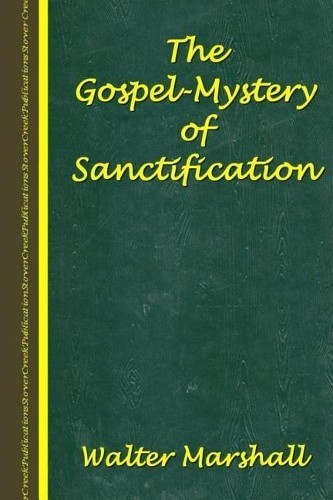 Walter Marshall The Gospel-Mystery of Sanctification (Paperback)Another great item from Rarewaves USA | Free delivery!