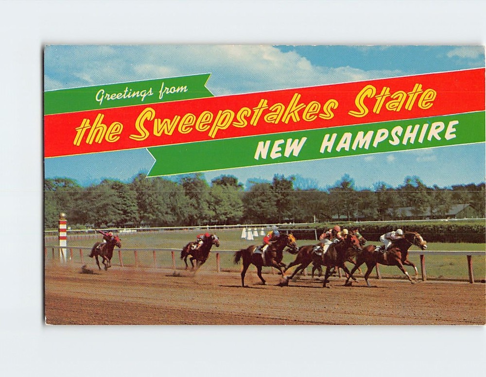 Postcard Horse Race Scene Greetings from The Sweepstakes State NH USA
