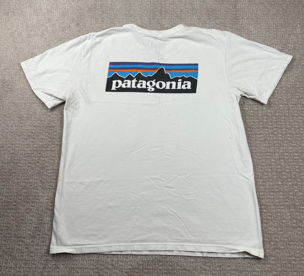 Patagonia T Shirt Mens Large Organic Cotton White Fitz Roy Hiking Outdoors