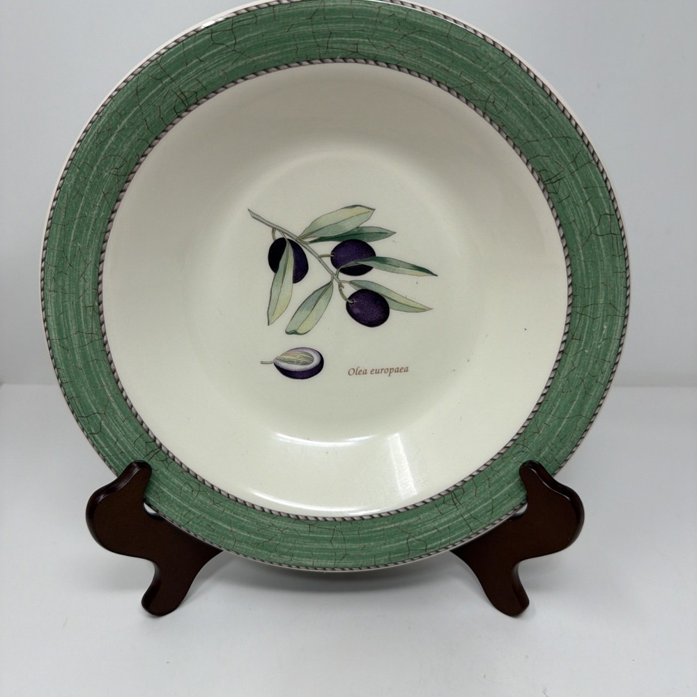 Wedgwood Sarah's Garden Rimmed Pasta Bowl 10 inch Green Rim with Olives
