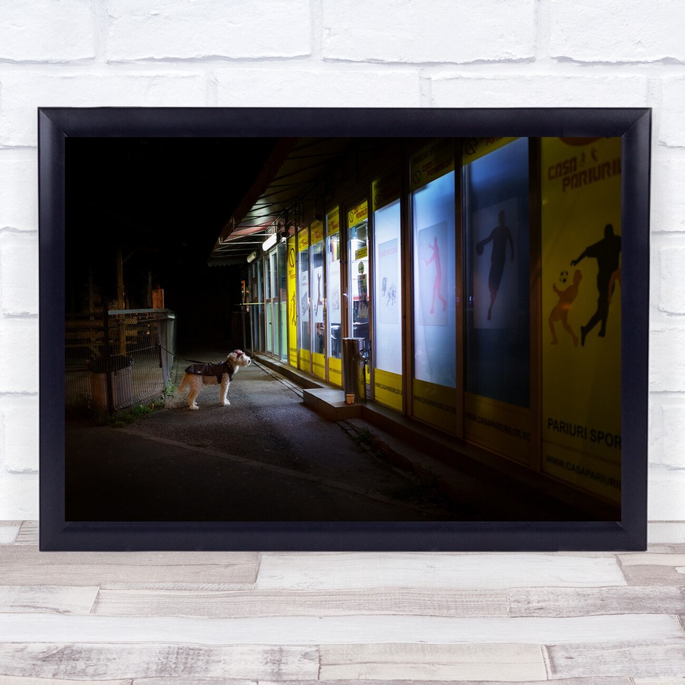 Street Dog Waiting Night Urban City Dogs Pet Pets Alone Lonely Wall Art Print