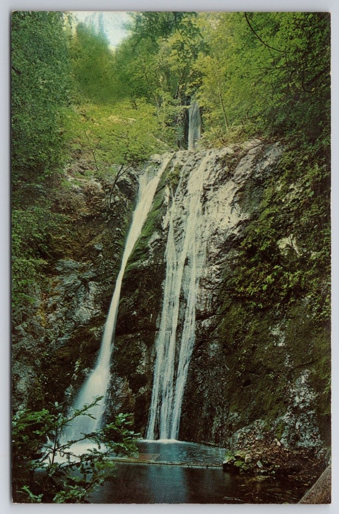 Pfeiffer Falls Big Sur Redwood State Park CA Vintage Chrome Postcard
