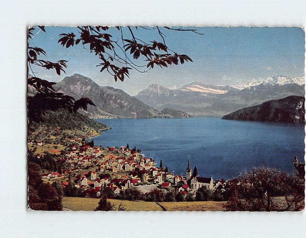 Postcard Aerial View Of Weggis  and the Alps Lake Lucerne Switzerland