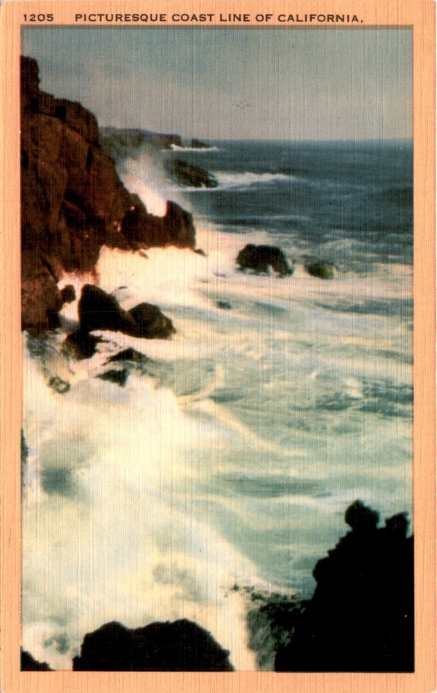 California, Pacific, Longshaw Card Co., Los Angeles. Postcard