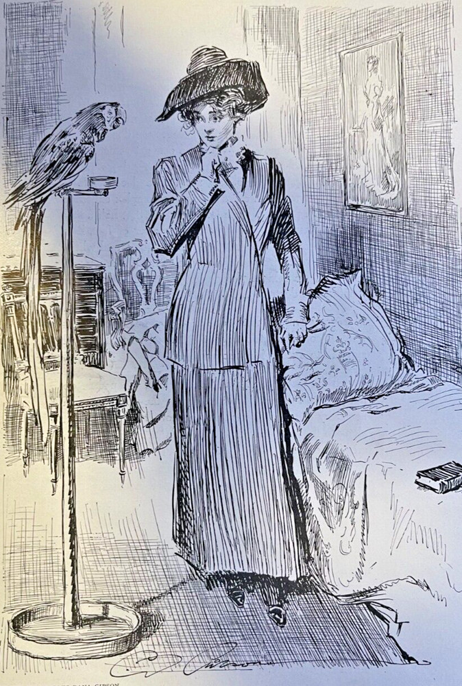 1911 Vintage Magazine Illustration Woman Watching A Parrot C D Gibson