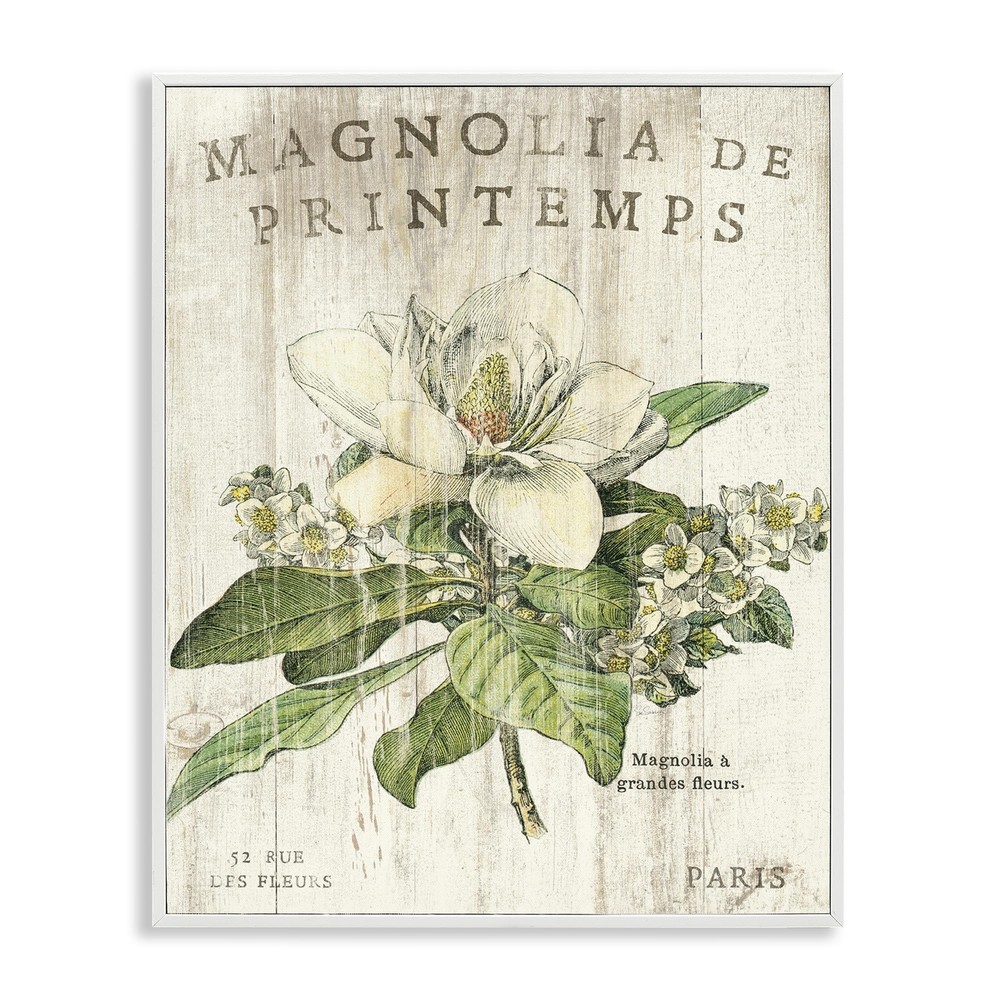 French Magnolia Spring Framed Giclee Art Print by Sue Schlabach