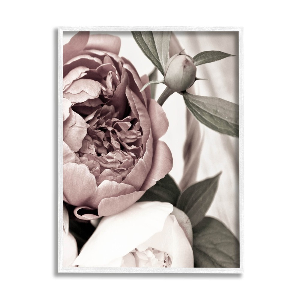 Blooming Peony Flower Buds Giclee Framed Wall Art, Design by Malerifabrikken