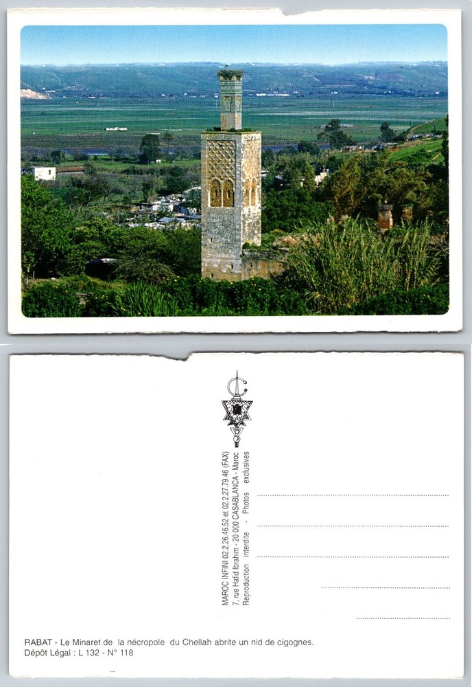 Rabat Chellah Necropolis Minaret Stork Nest Morocco Postcard Maroc Infini