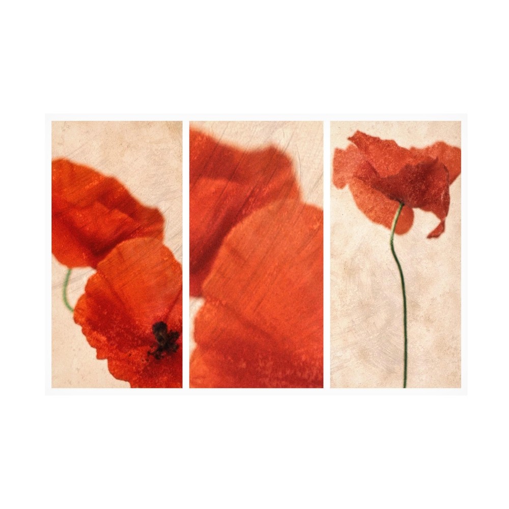 Canvas Wall Art - Nel Talen 'Three Red' Wall Art for Living Room, Bedroom, or...