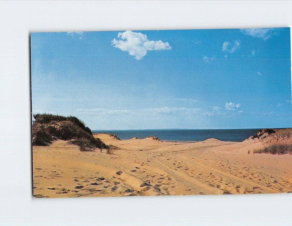 Postcard Sand Dunes Cape Cod Massachusetts USA