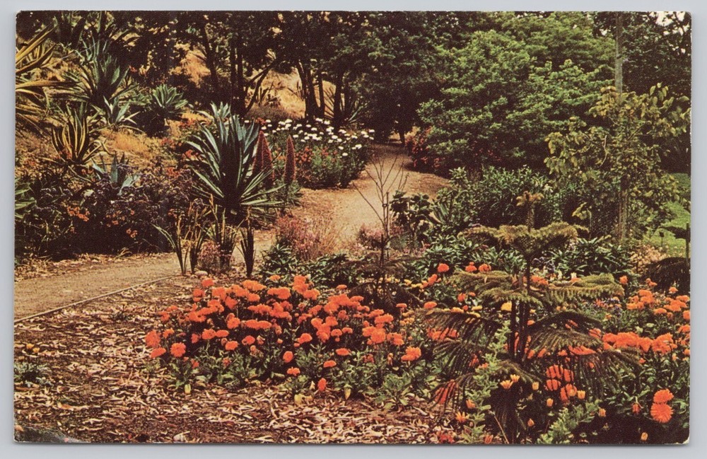 Encinitas California, Quail Botanic Gardens, Vintage Postcard